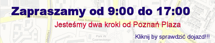 Sprawdź dojazd, tłumacz przysięgły - Poznań - Winogrady i Piątkowo. Codziennie od 9 do 17 .